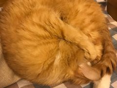 -达爱动物医院·犬猫分区·CT·复杂眼科(远洋山水分院)