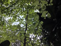 -陕西师范大学(雁塔校区)
