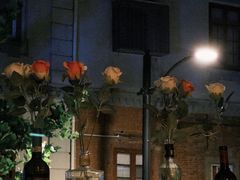 -Bistro Les Lilas丁香花小酒馆