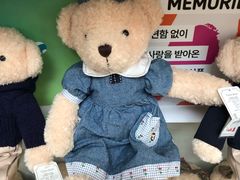 -济州岛泰迪熊博物馆