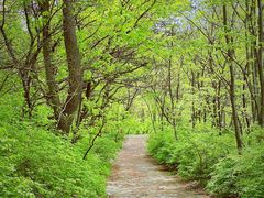 -萨尔浒风景区