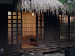 -中国茶叶博物馆(双峰馆区)