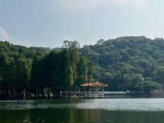 -西樵山风景名胜区-天湖公园