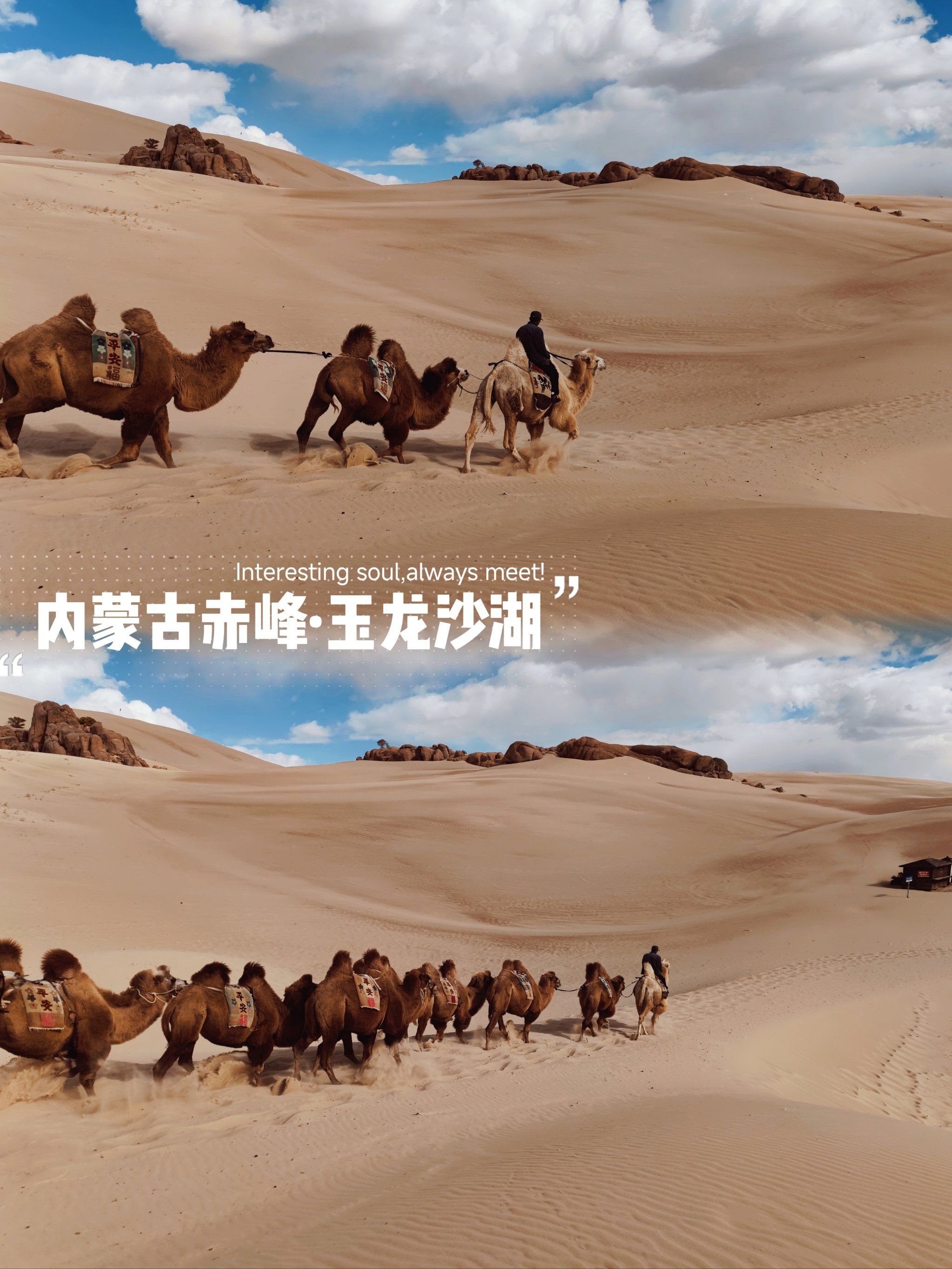 人生总要去一趟沙漠吧!很近的