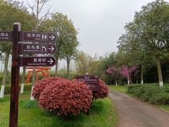 -洋湖国家湿地公园