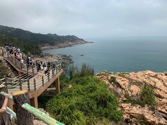 -广东惠东海龟国家级自然保护区