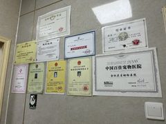 -关爱动物医院·心脏·中兽医·异宠(金牛路分院)