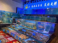 水产区-青蓬海上捞蒸品海鲜城(海岸城店)