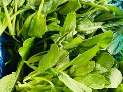 -陈家镇裕安农贸市场