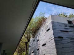 -半山半岛洲际度假酒店·观海廊