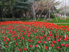 -中共上海市委党校 上海行政学院