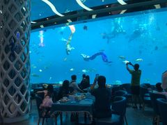 -瑞德姆美人鱼海底演艺主题餐厅(亚龙湾店)