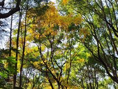 -区行政办公中心5号地块绿地-地下停车场