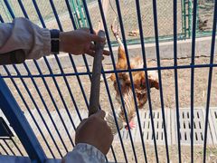 -鄂尔多斯野生动物园