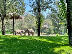 -北京野生动物园