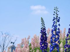 -首开·龙湖成都西宸天街