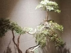 -上鸿汤泉•易营+