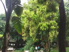 -深圳国际园林花卉博览园