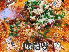 -四川老牛麻辣烫(北门桥店)