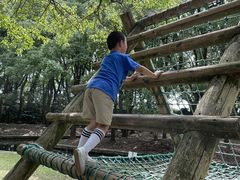 -共青国家森林公园-售票处