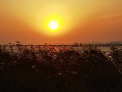 -阳澄湖半岛旅游度假区