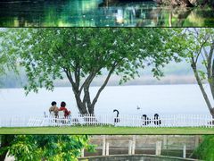 -长兴太湖图影湿地文化园