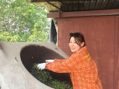 -西双版纳基诺山寨