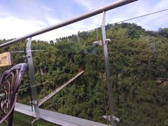-川西竹海景区