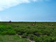 -北海金海湾红树林生态旅游区