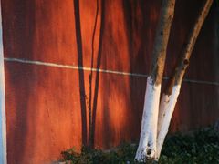 -浙江省杭州高级中学(贡院校区)