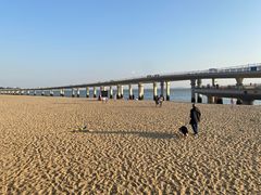 -演武大桥观景平台