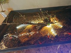 -杨氏青龙虾·羊蝎子(金盛路总店)