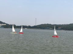 -上海月湖雕塑公园