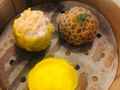 -伯衡55·吉品轩(乌鲁木齐南路店)