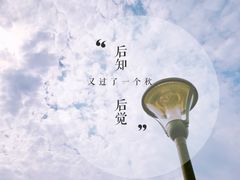 -羊山湖公园