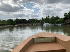 -东寨港红树林旅游区