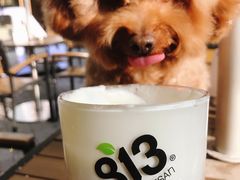 -813芭依珊 BAESAn(皇冠十畝地店)