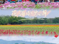 -丹樱生态园