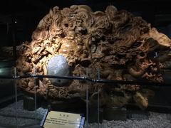 -江湾神木园