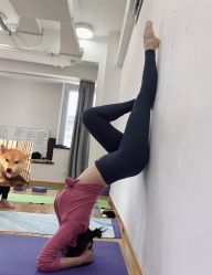 -亚太瑜伽普拉提学院