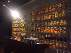 -广州富力君悦大酒店·关系酒廊
