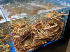 -徐记海鲜·宴会(大唐西市|丰庆店)
