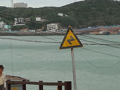 -枸杞岛