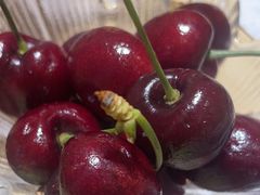 -清水日本料理铁板烧(学府路店)