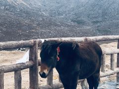 -兔儿山