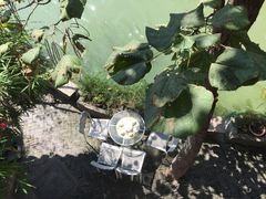 -漕溪人家