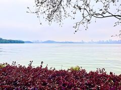 -东湖磨山景区