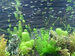 -上海海洋水族馆