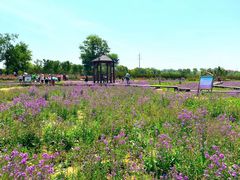 -武汉紫薇都市田园