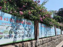 -山东省青岛第六十二中学